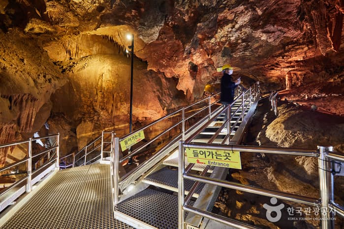 Cheongok Golden Bat Cave (천곡황금박쥐동굴)