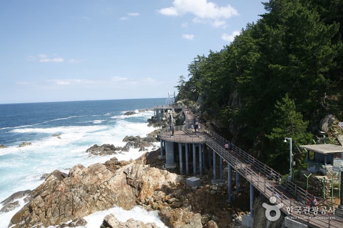 Chogok Yonggul Chotdaebawi Trail (초곡 용굴촛대바위길)
