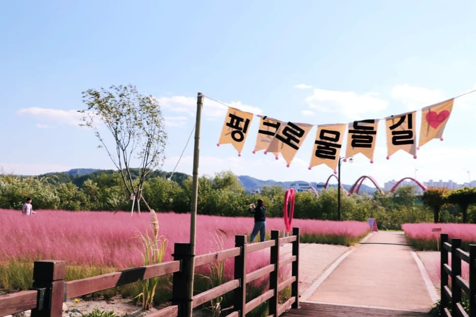 Grasswon Park (그라스원)
