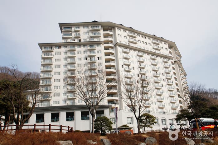 Elysian Gangchon Ski Resort (엘리시안 강촌 리조트)