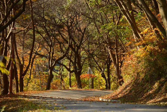 Chilgapsan Provincial Park (칠갑산도립공원)