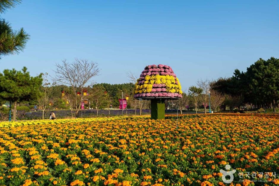 Korea Flower Park (코리아플라워파크)