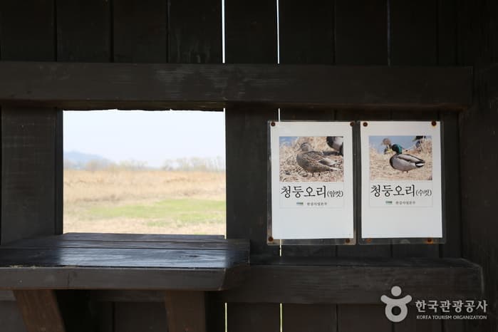 Gangseo Marsh Ecological Park (강서습지생태공원)