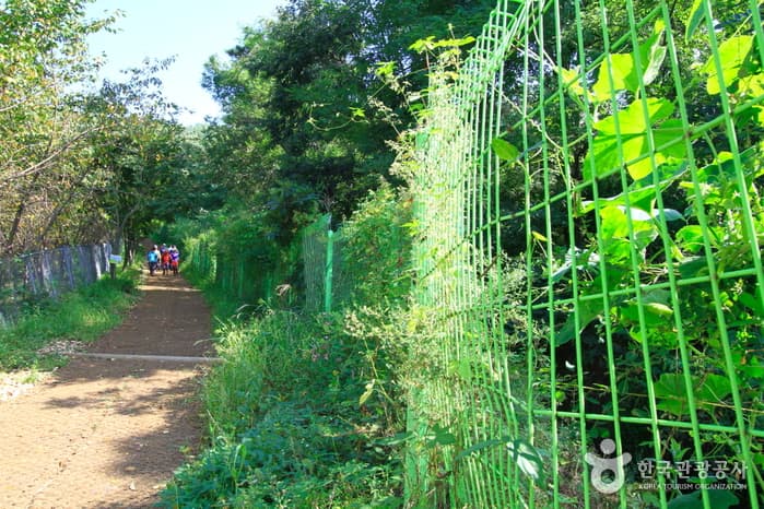 Soraesan Mountain (소래산)