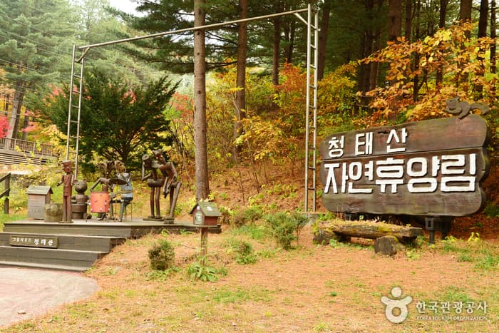 Cheongtaesan National Recreational Forest (국립 청태산자연휴양림)