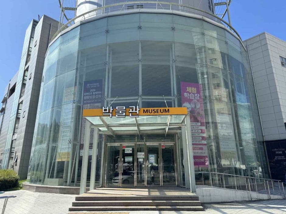Chonnam National University Museum (전남대학교 박물관)