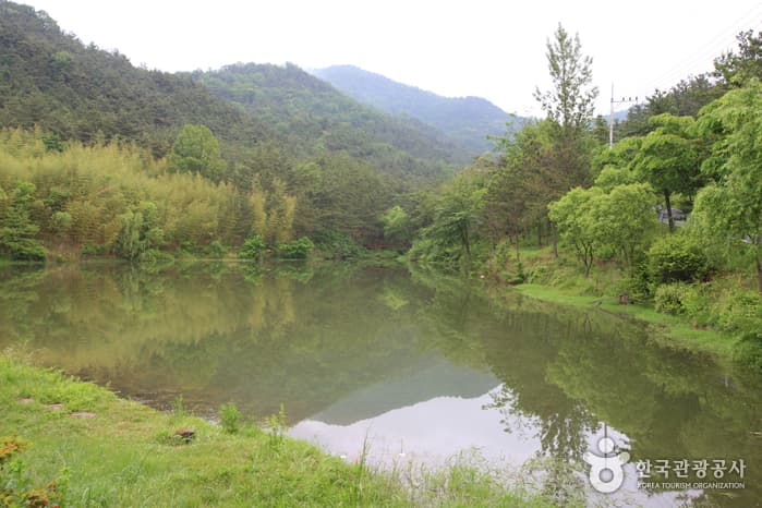 Songjeong Recreational Forest (송정 자연휴양림)