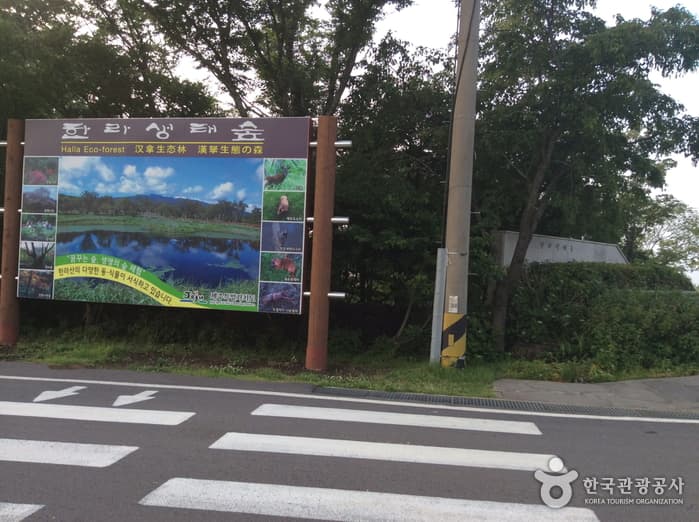Halla Ecological Forest (한라생태숲)