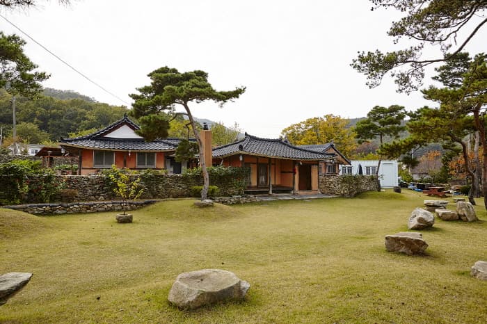 Golden Grass (옛날에금잔디)