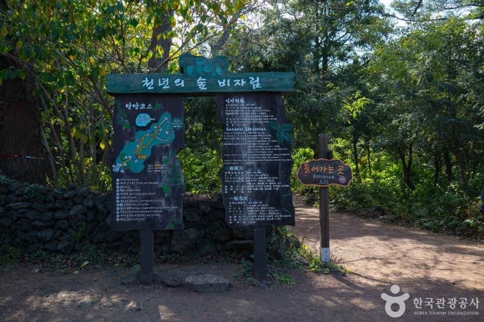 Bijarim Forest (비자림)