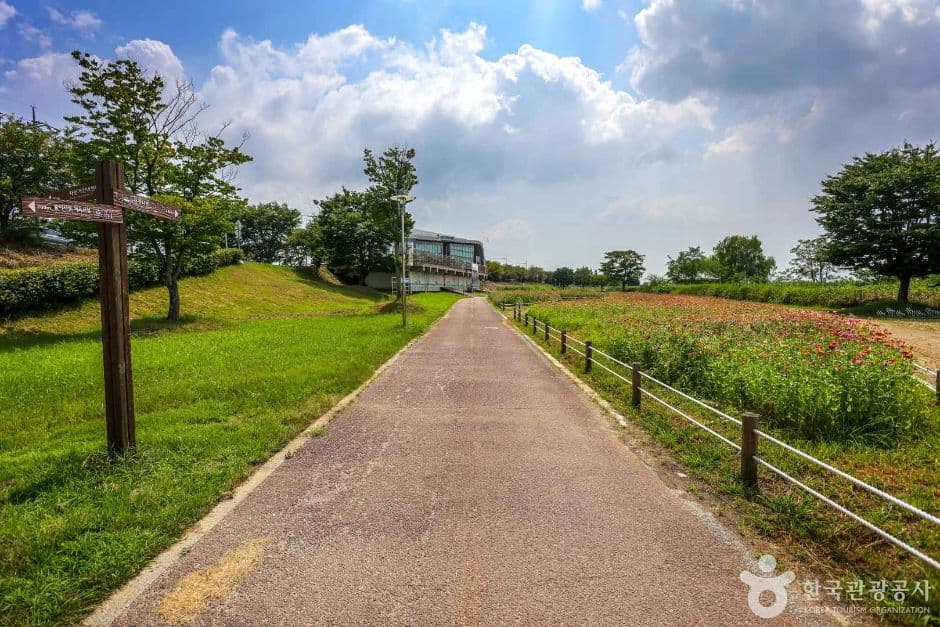 Yeongsangang River Bike Road (영산강 자전거길)