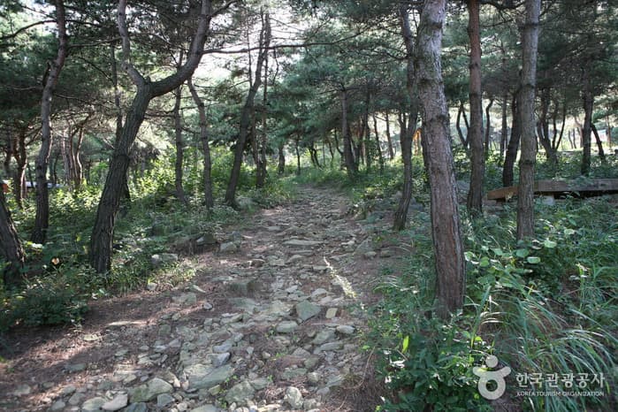 Taehaksan Recreational Forest (태학산자연휴양림)