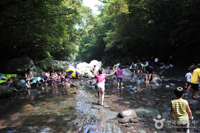 Donnaeko Resort (Wonangpokpo Falls) (돈내코(원앙폭포))