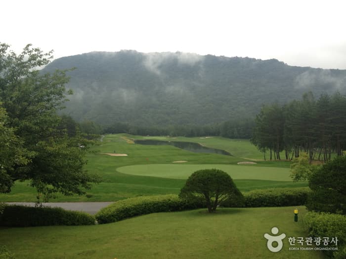 Yongpyong Golf Club (용평 골프클럽)