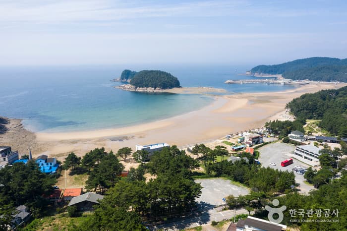 Cheollipo Beach (천리포해수욕장)