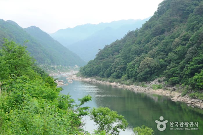 Naerincheon Stream Rafting (내린천 래프팅)