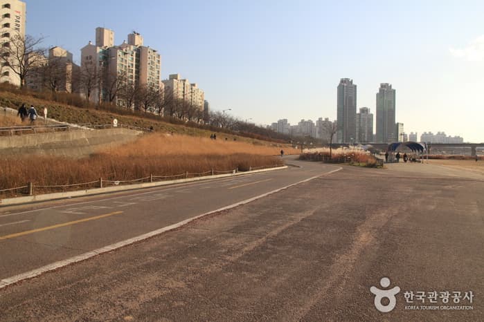 Anyangcheon Stream (안양천)