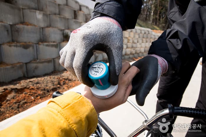 Skyline Luge (스카이라인 루지)