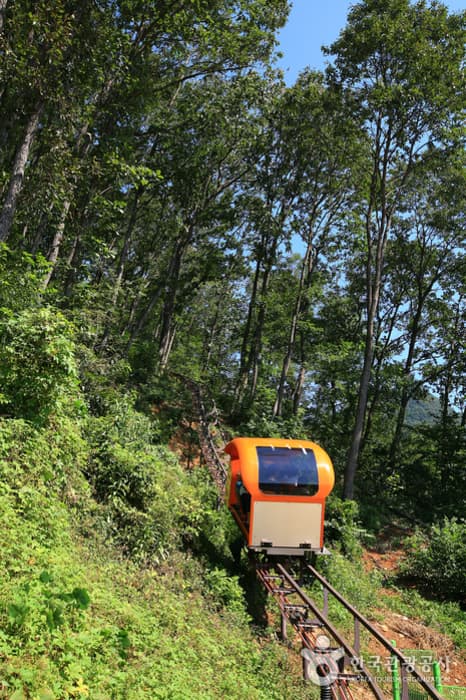 Cheongpungho Scenic Monorail (청풍호 관광모노레일)