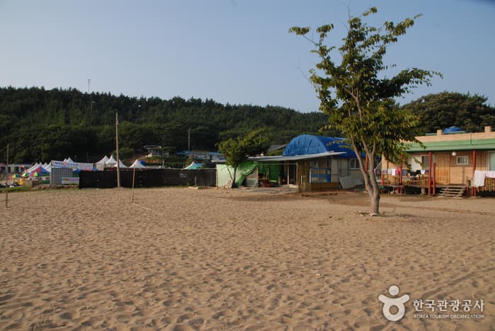 Baengnipo Beach (백리포해수욕장)