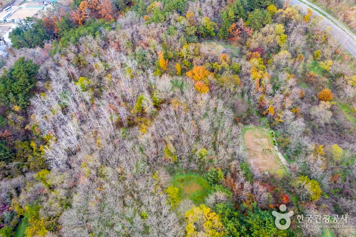 Samsa Marine Park (삼사해상공원 (삼사해상산책로))