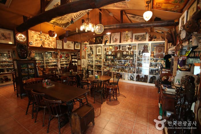 Owl Museum (부엉이박물관)