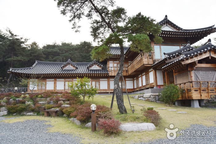 GyeongjuCheonnyeonhanok Pension (경주천년한옥펜션)