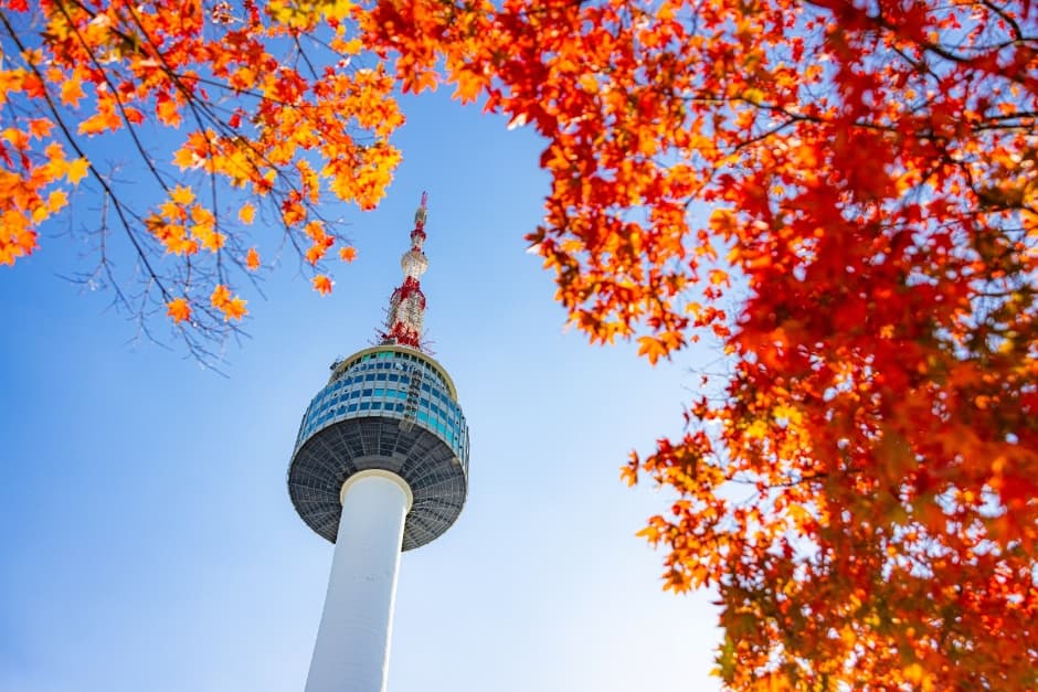 N Seoul Tower (남산서울타워)