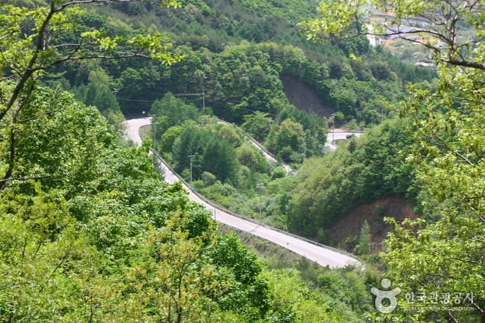 Domaryeong Pass (도마령)
