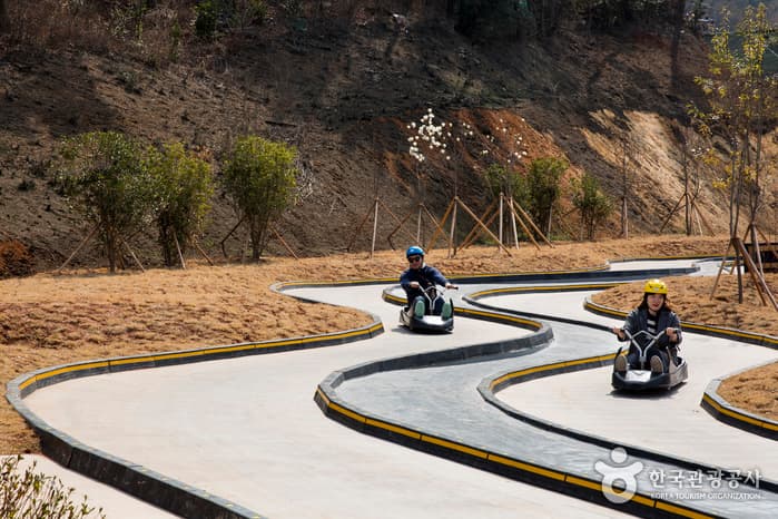 Skyline Luge (스카이라인 루지)