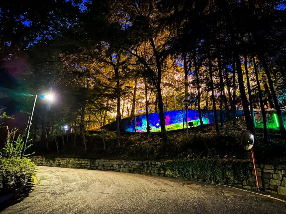 Sajik Forest of Light (사직 빛의 숲)
