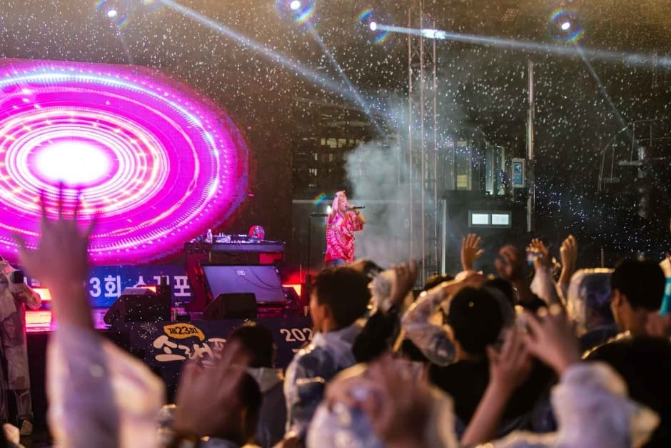 Soraepogu Festival (소래포구 축제)