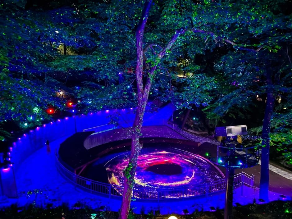 Sajik Forest of Light (사직 빛의 숲)