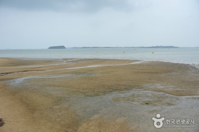 Tommeori Beach (톱머리 해수욕장)