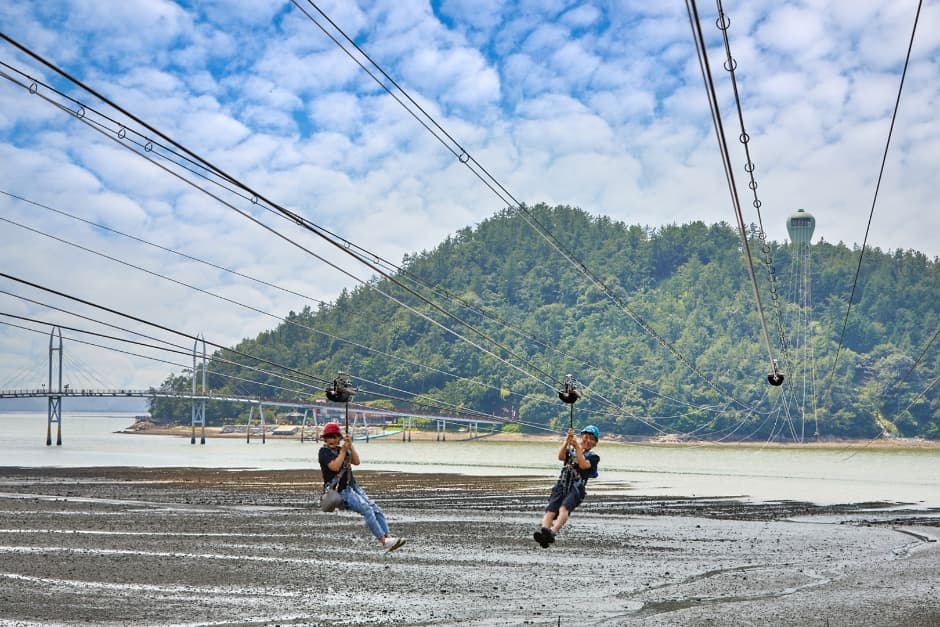 Gangjin Ziptrek (강진 짚트랙)