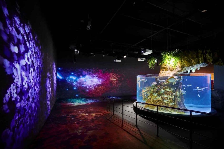 Daejeon Expo Aquarium (대전 엑스포 아쿠아리움)