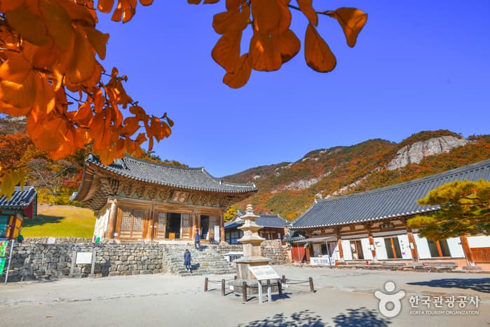 Buan Naesosa Temple (내소사 (부안))