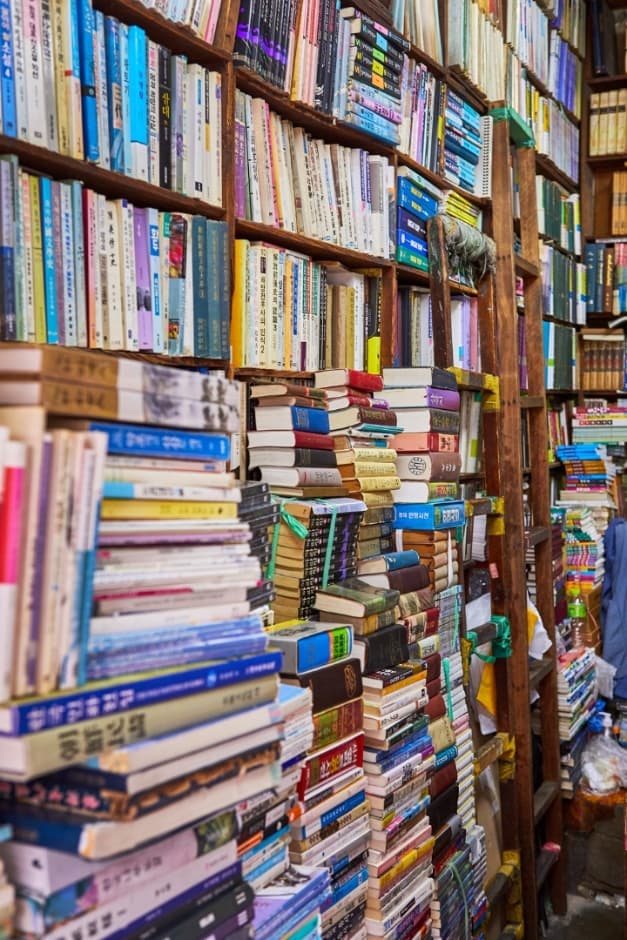 Cheonggyecheon Old Books Street (청계천헌책방거리)