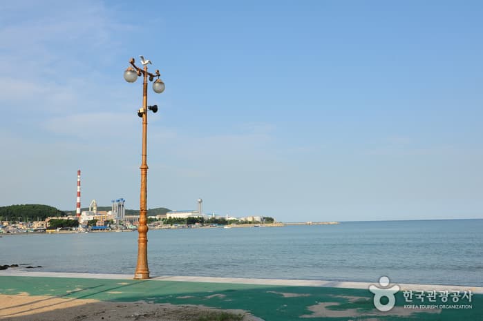 Ilgwang Beach (일광해수욕장)