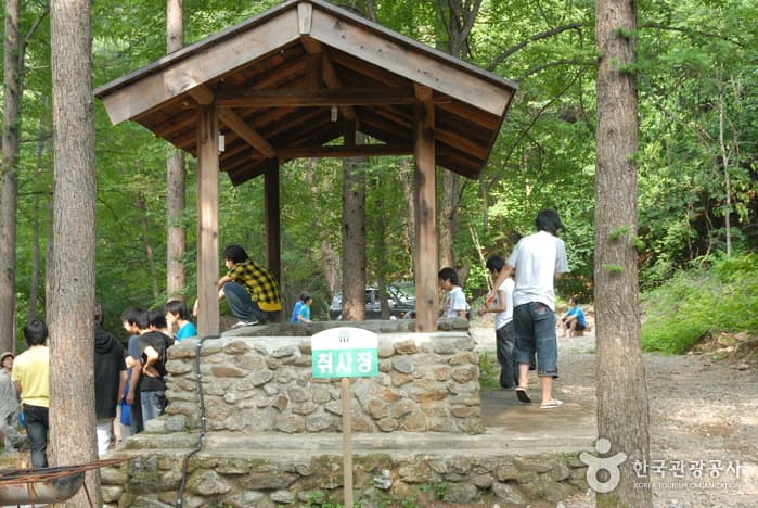 Cheongoksan National Recreational Forest (국립 청옥산자연휴양림)