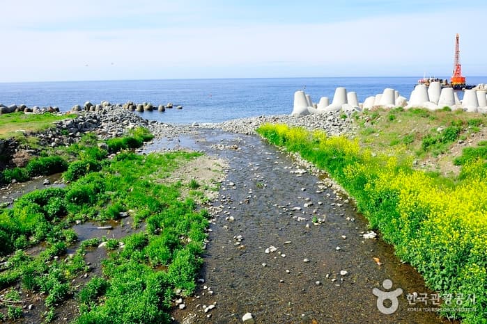 Tonggumi Pebble Beach (통구미몽돌해변)