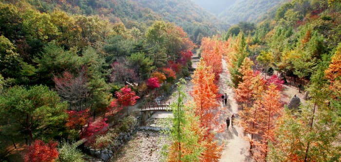 Sangso-dong Forest Park (상소동 산림욕장)