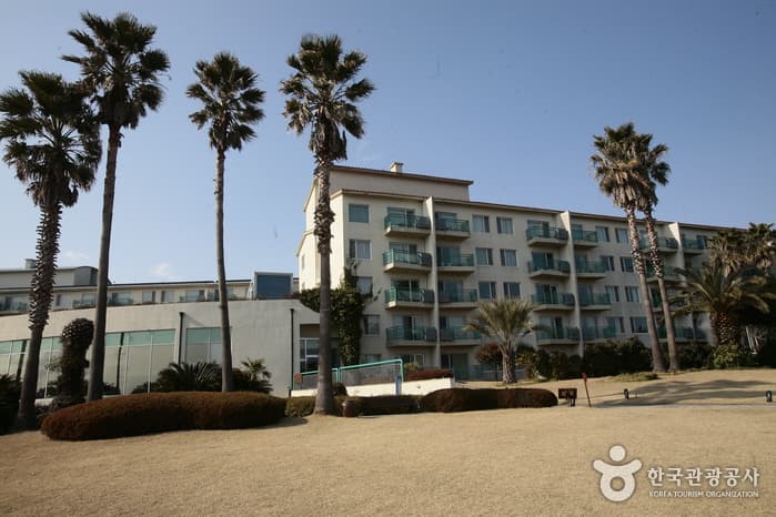 Seogwipo Kensington Resort (켄싱턴리조트 서귀포)