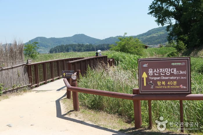 Suncheonman Bay Yongsan Observatory (순천만 용산전망대 (S자 물길))