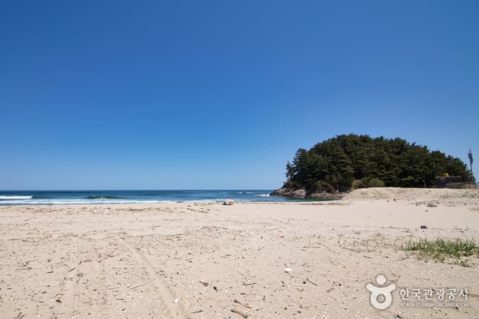 Songjeonhaebyeon Beach (송전해수욕장)