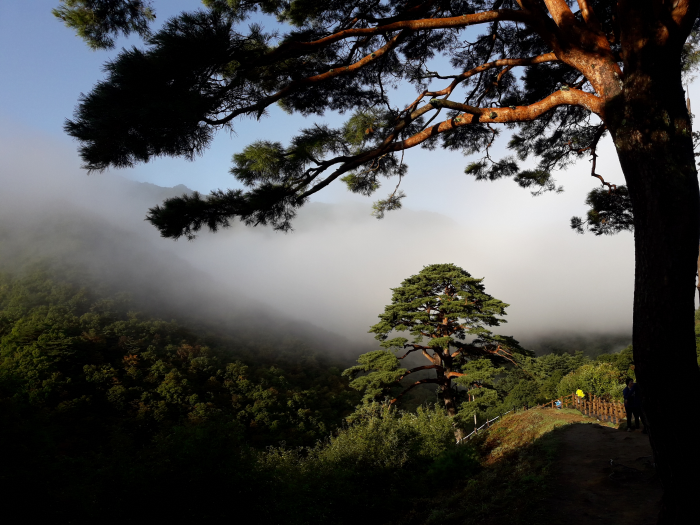 Baemsagol Waun Village (뱀사골 와운마을)