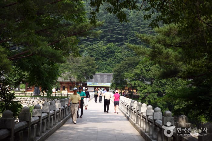 Baekdamgyegok Valley (백담계곡)