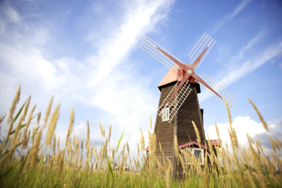 Sorae Marsh Ecological Park (소래습지생태공원)
