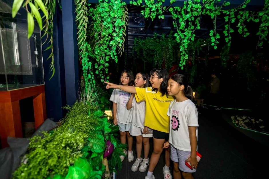 Muju Firefly Festival (무주반딧불축제)
