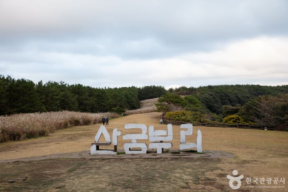 Sangumburi Crater (산굼부리)